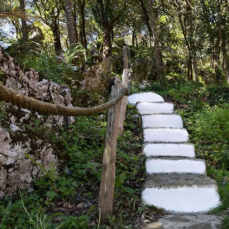 Paraso Iris Isla Plana